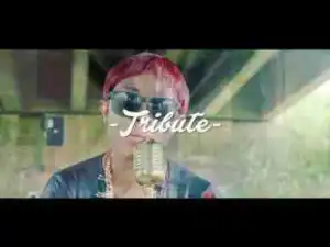 Video: Ernieola – Tribute